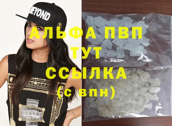 прущие грибы Ачинск