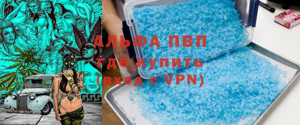 apvp Бердск