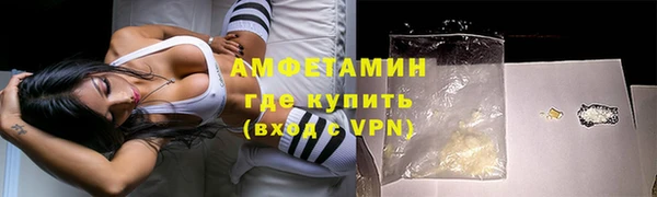 прущие грибы Ачинск