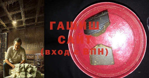 прущие грибы Ачинск