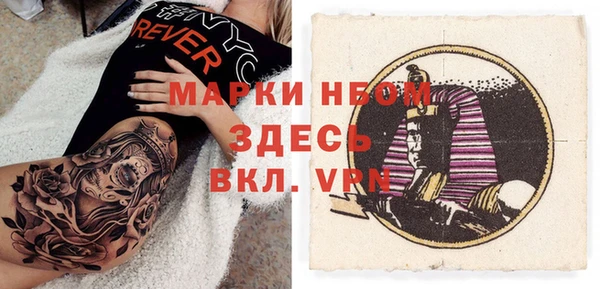 прущие грибы Ачинск
