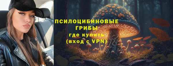 прущие грибы Ачинск