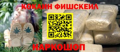 гашик Будённовск