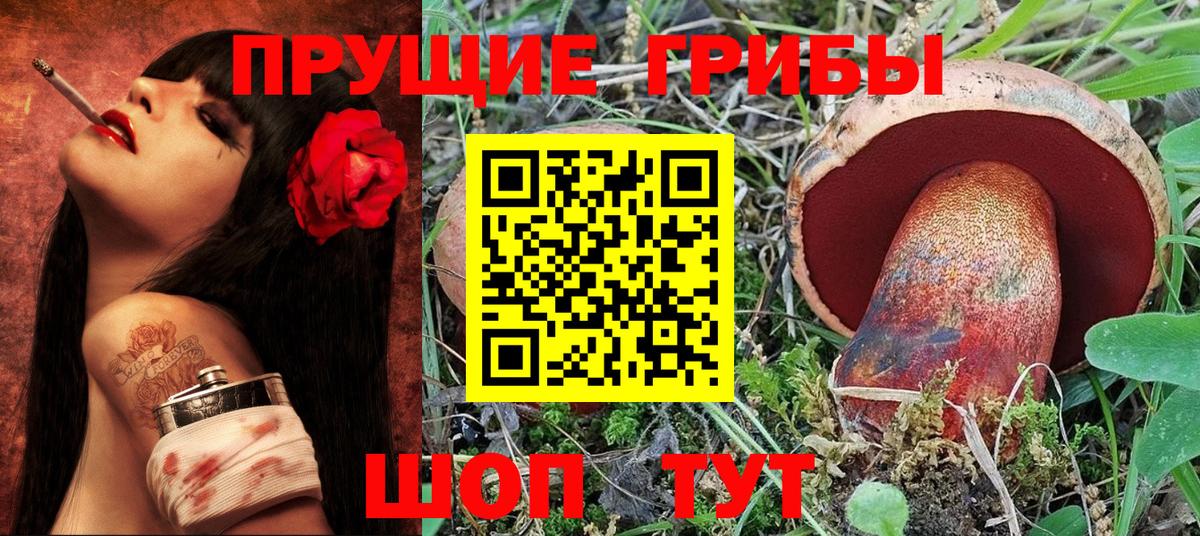 Псилоцибиновые грибы Magic Shrooms  Долгопрудный  Галлюциногенные грибы Psilocybine cubensis 