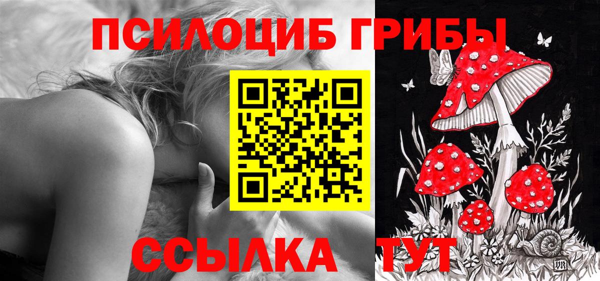 Долгопрудный  Псилоцибиновые грибы мицелий  Вход с VPN 
