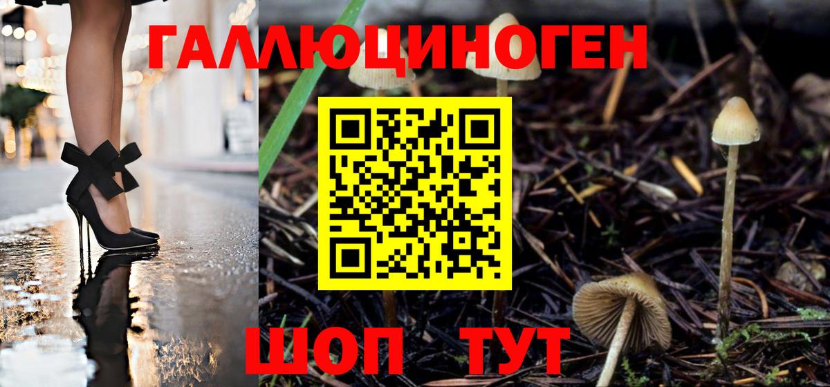 Псилоцибиновые грибы мицелий Долгопрудный